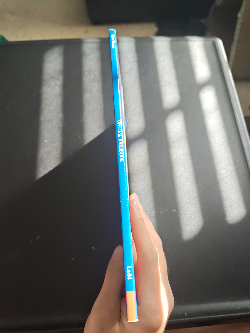 Care Bears: Offical handbook