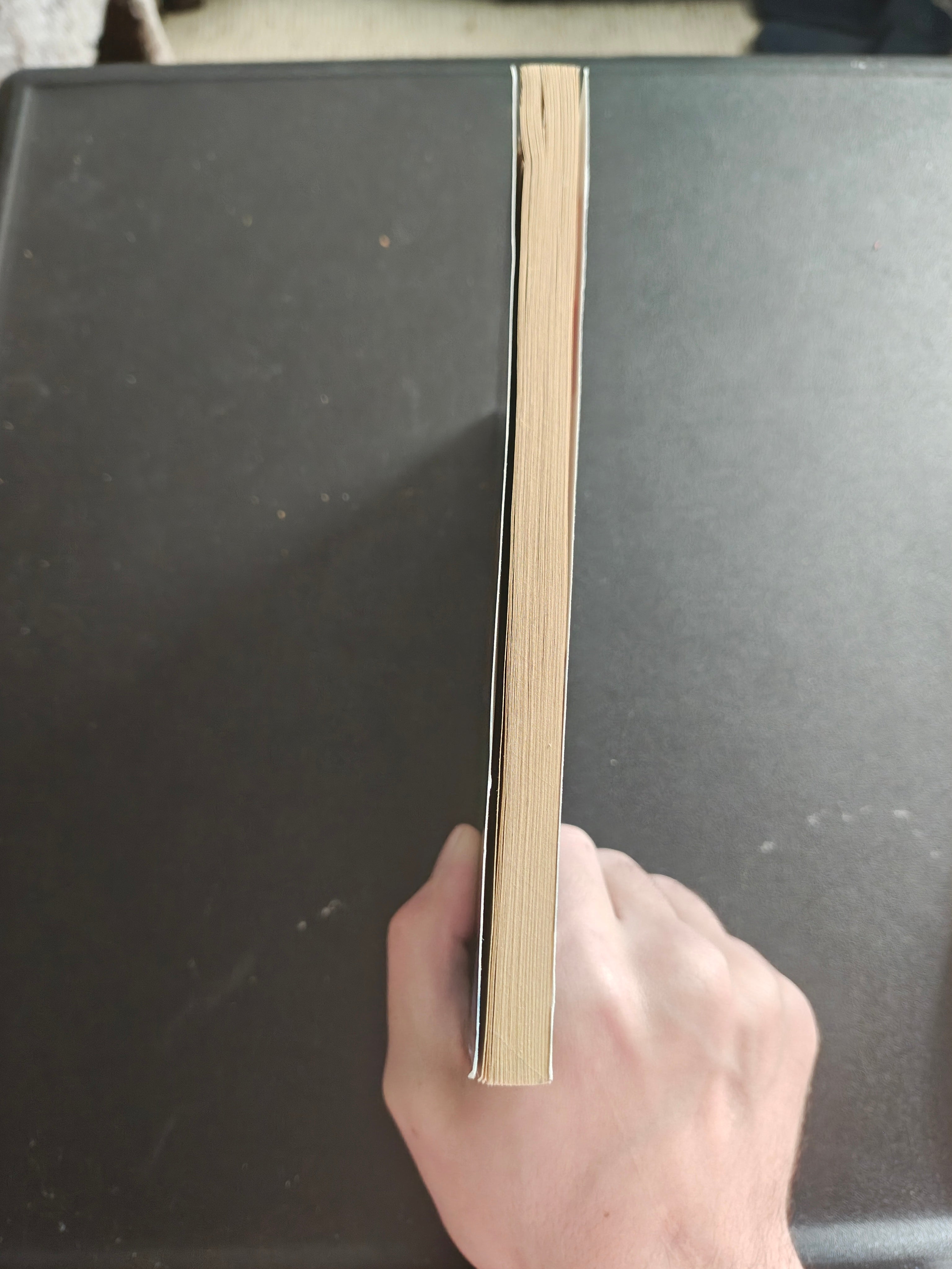 Disney High School Musical: Stories from East High Wildcat Spirit -#2