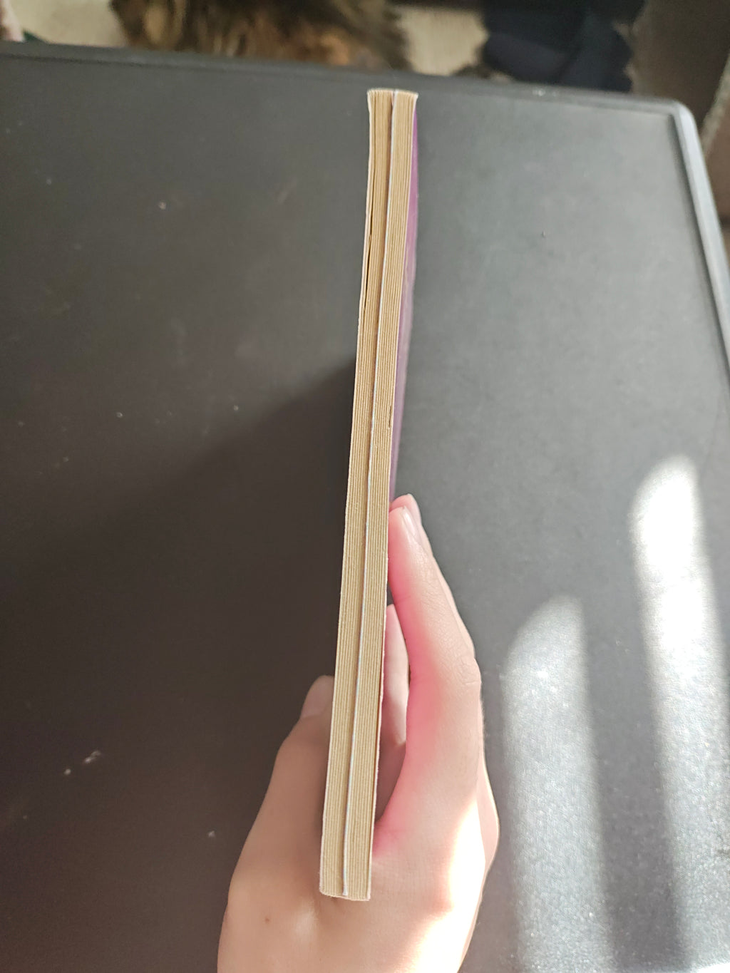 Hannah Montana books