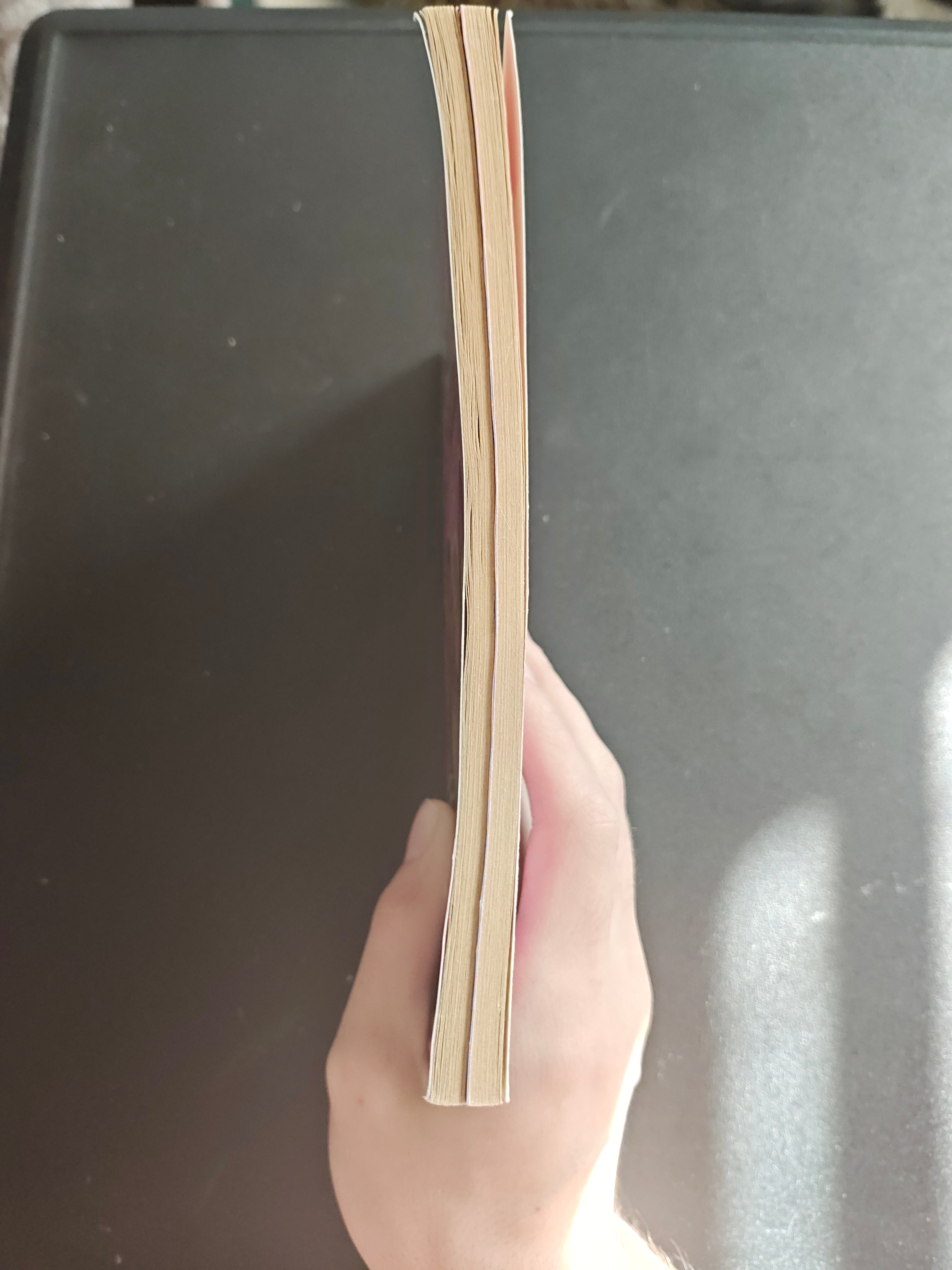 the Cheetah Girls 2 the junior novel