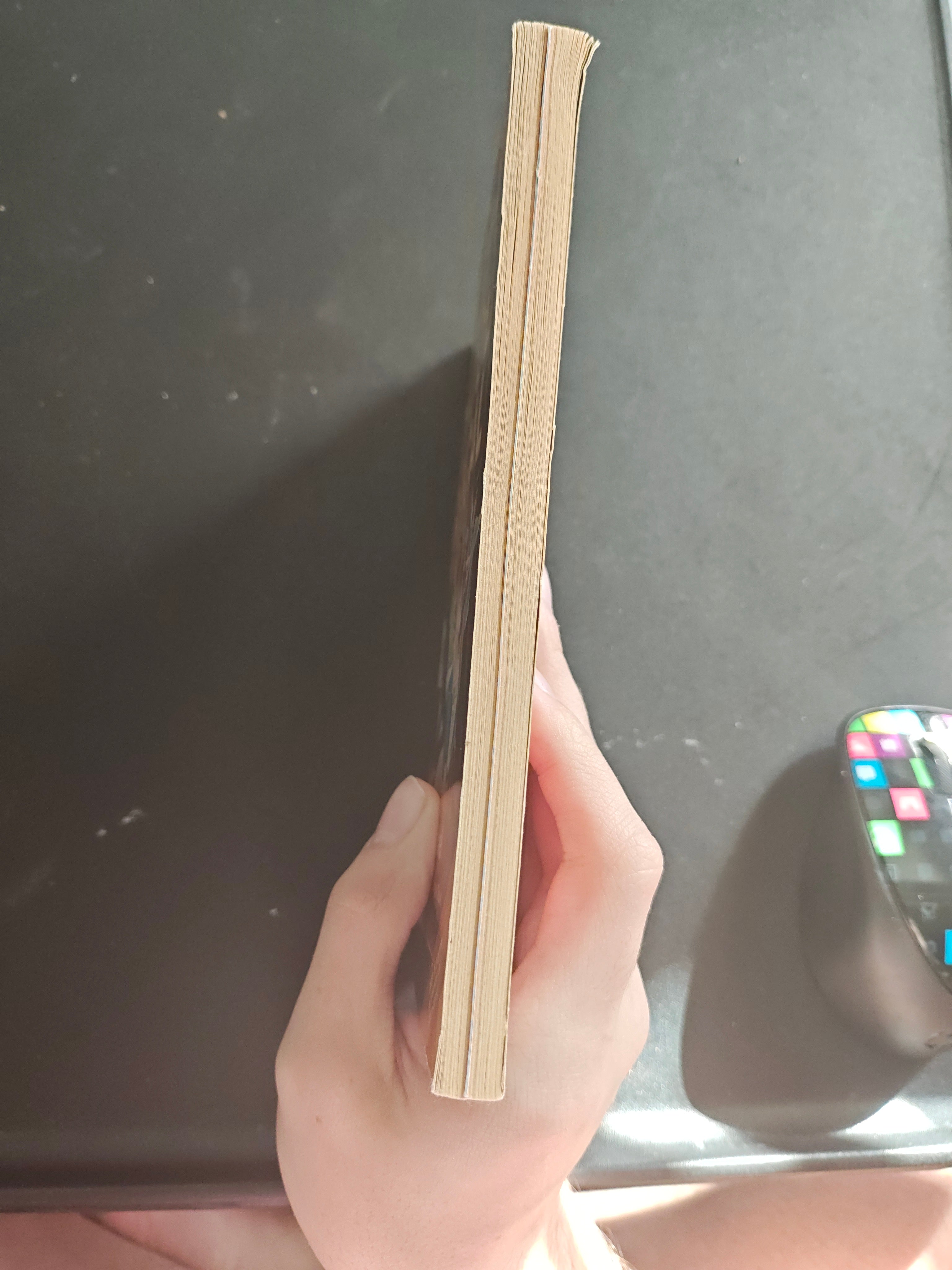 High School Musical the junior novel