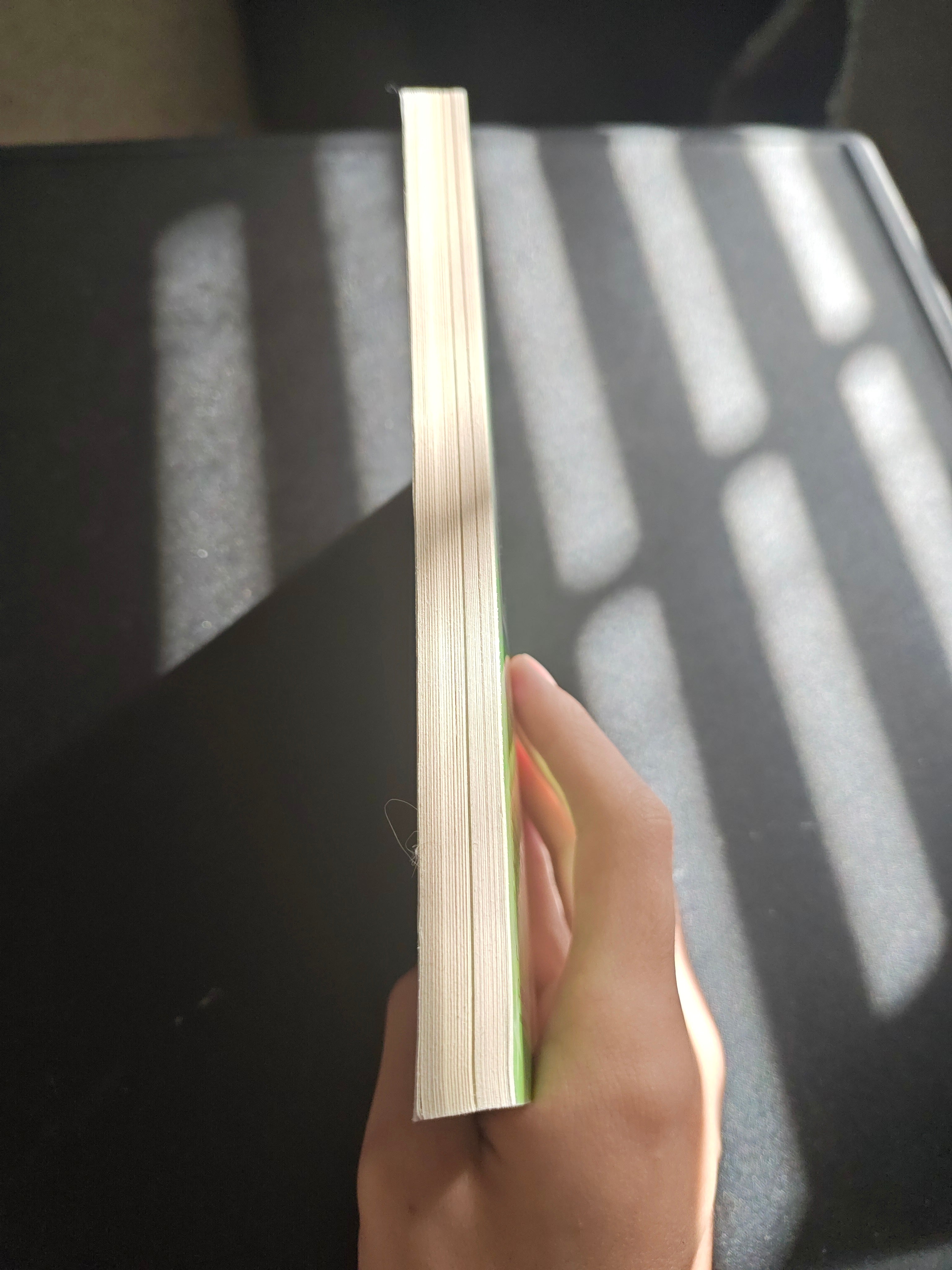 Judy Moody and the not bummer summer